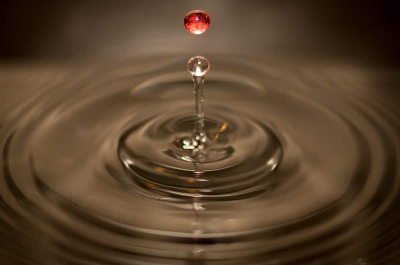 De l'eau refoule dans vos toilettes alors que la chasse d'eau est fermée : que faire ?